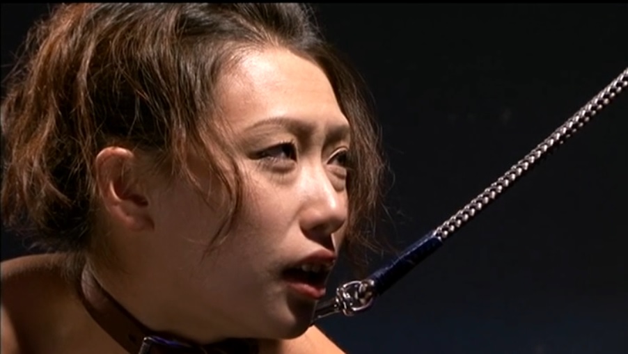 柳田やよい SM 脱糞