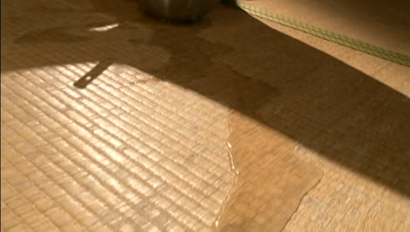 熟女 浣腸 動画 平子さおり